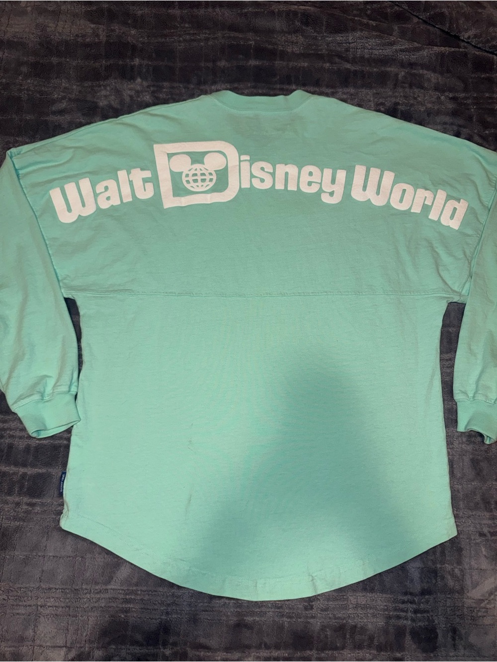 Disney Mint Green Walt Disney World Long-Sleeve Shirt